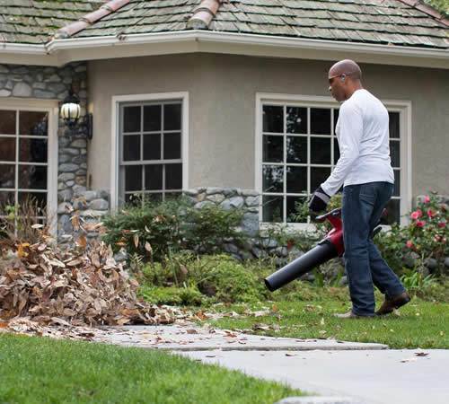 Side view of Toro Flex-Force 60v 51825T Cordless Blower